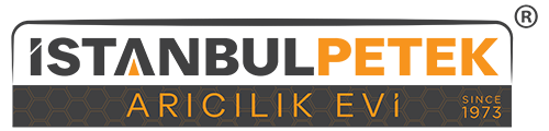 cropped-istanbul-petek-logo[1]